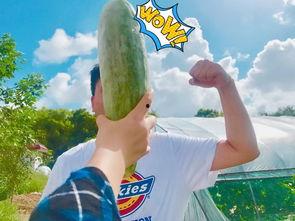 娱乐吃瓜718网红瓜